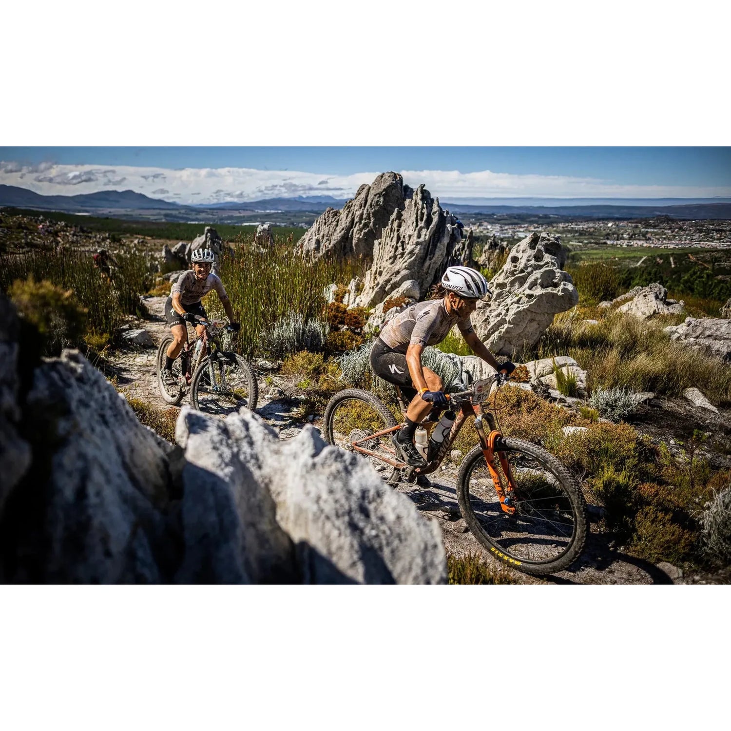 Mountain Bikes