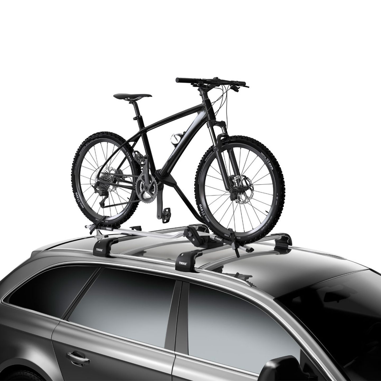 Thule ProRide Silver Roof Carrier