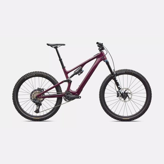 Turbo Levo SL 2 Expert